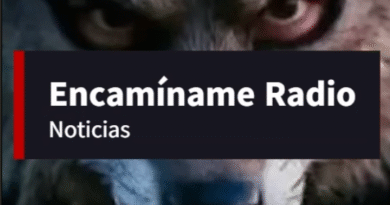 Encamíname Noticias: Febrero 8 al 21, 2026