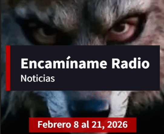 Encamíname Noticias: Febrero 8 al 21, 2026